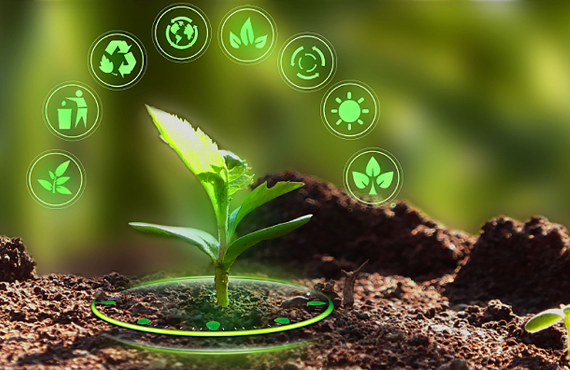 啤嶺機電設備（上海）有限公司